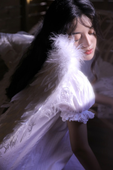 明星专题：惠特妮·范丝